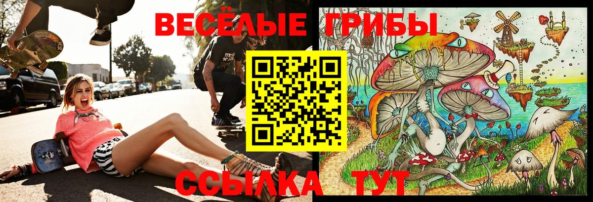 Псилоцибиновые грибы MAGIC MUSHROOMS  Вход с VPN  Клинцы 