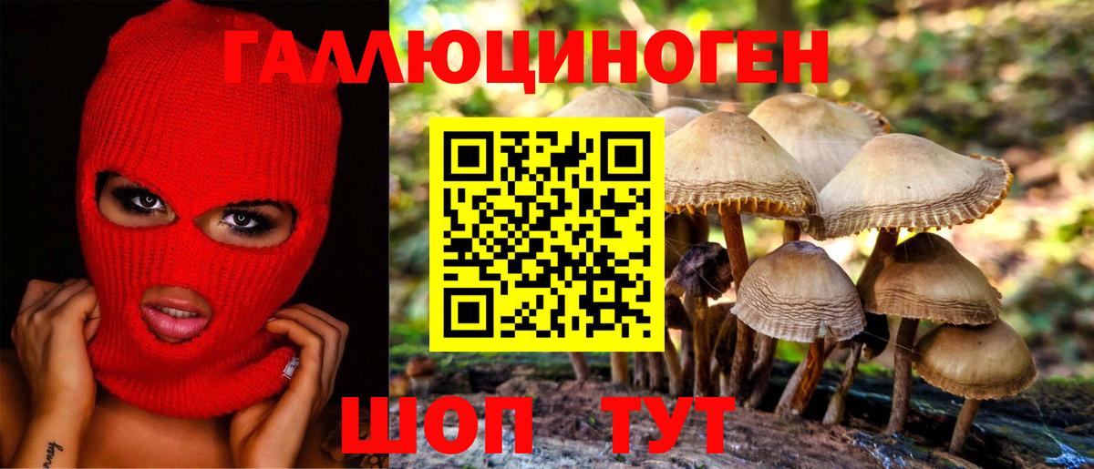 Галлюциногенные грибы Psilocybe Клинцы